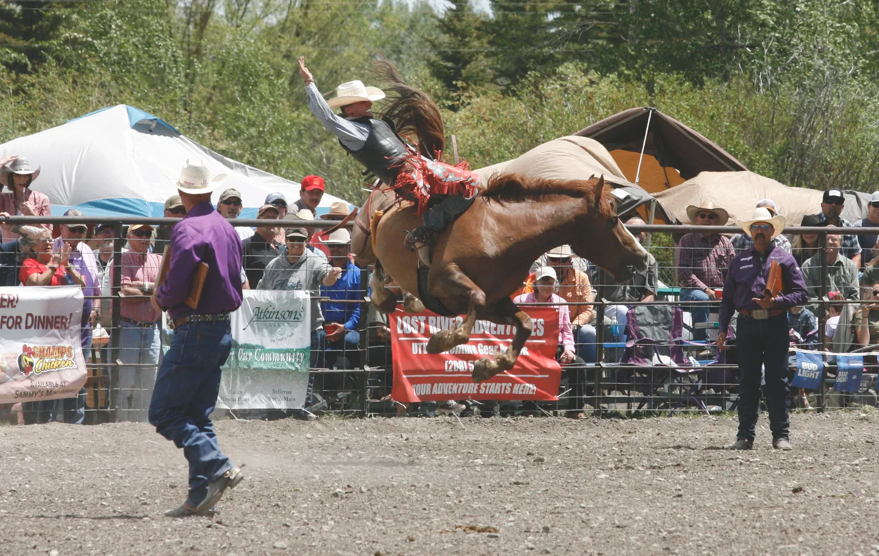 Be a part of the wildest rodeo in Idaho.